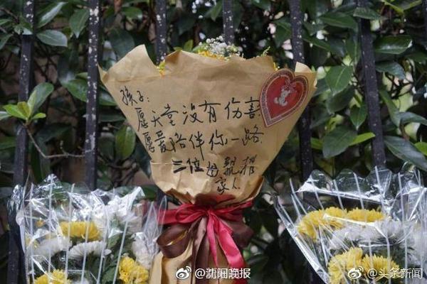 冷门好球丨J联赛超级远射得分 鹿岛鹿角外援塞阿拉超40米远射破门